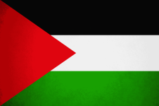 palestine-flag-png-0 (1).png