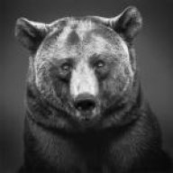 Bjorn