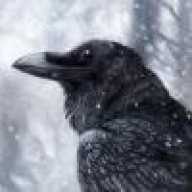 HellCrow