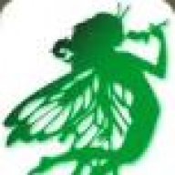 GreenFairy