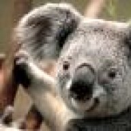 SiDanya