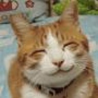 YjeNeTot